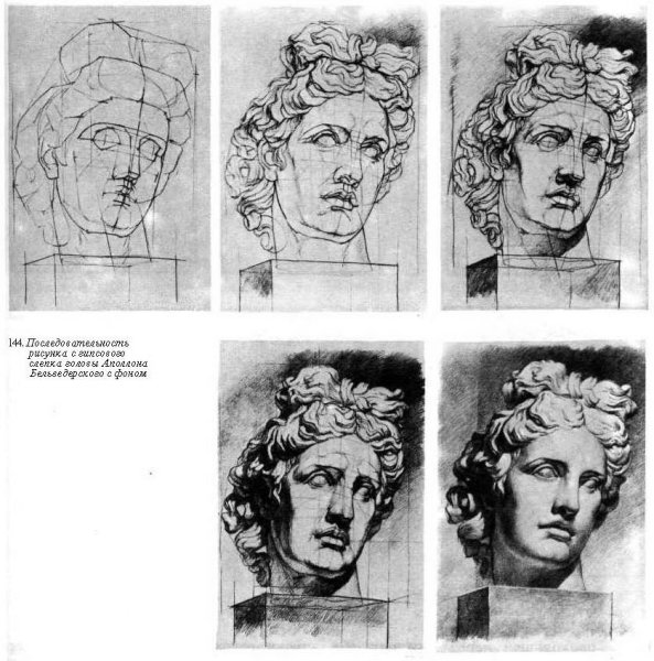 Давид рисунок гипсовой головы этапы