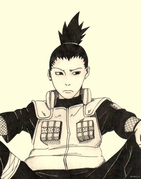 Ниндзя Шикамару