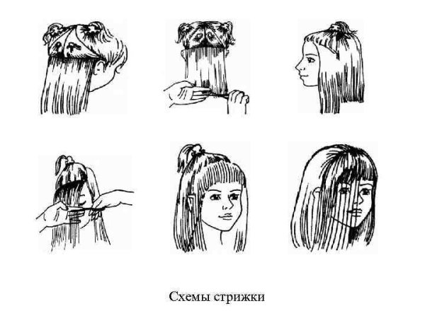 Технологическая карта стрижка сессон