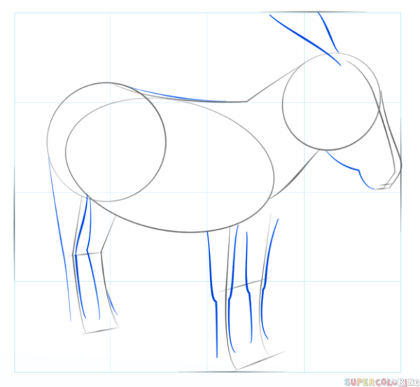 Осёл поэтапное рисование