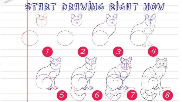 Рисуем кошку поэтапно
