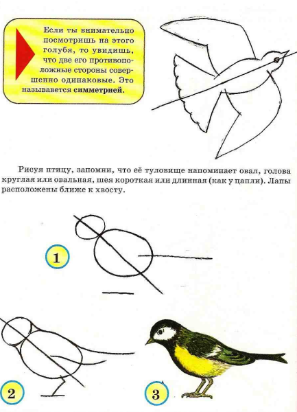 Синица рисунок для детей пошагово