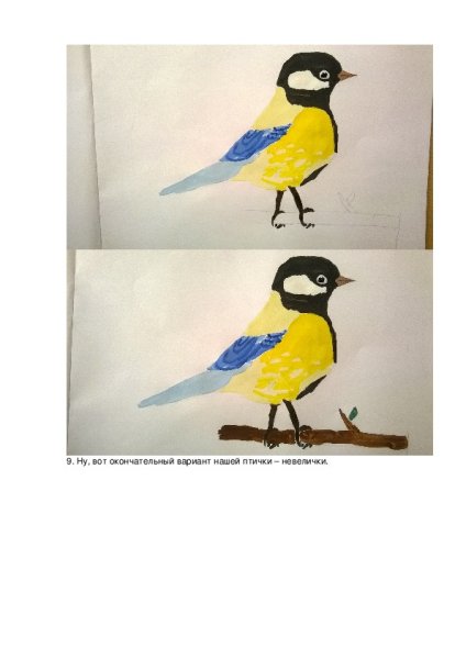 Рисование синичка подготовительная