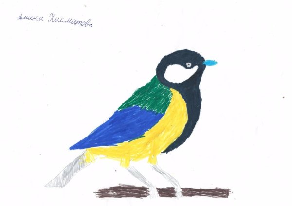 Рисование синица в подготовительной группе