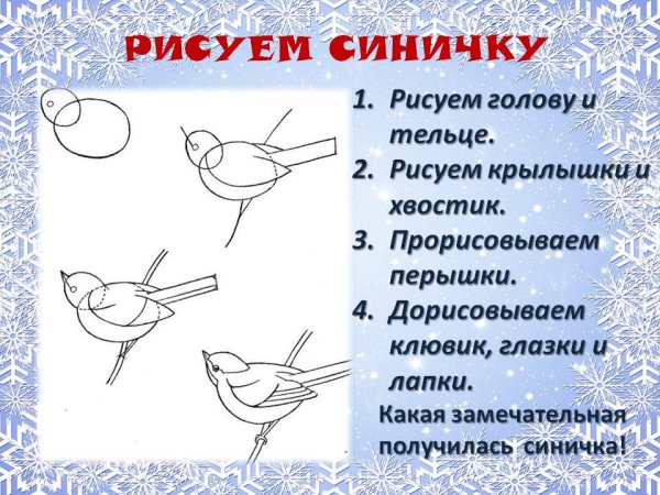Этапы рисования синицы