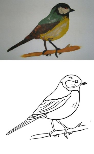 Отметь рисунок на котором изображена синица