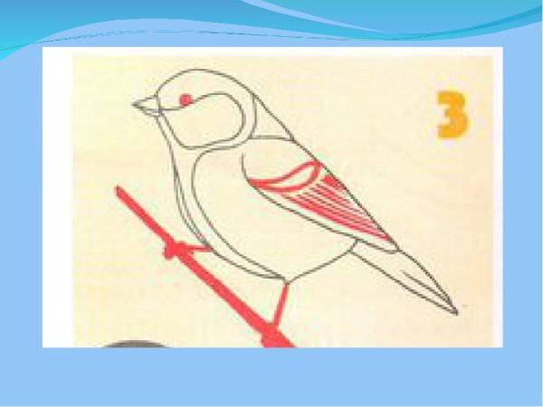 Презентация поэтапное рисование птички