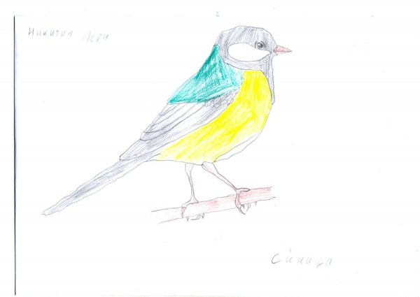 Рисование для начинающих птичка-синичка