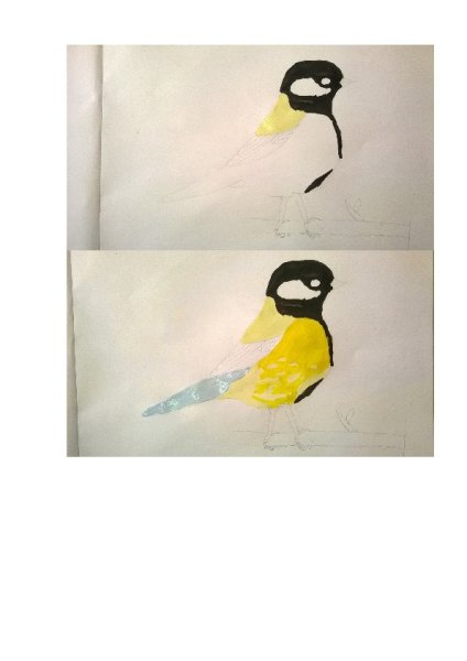 Синица пошагово