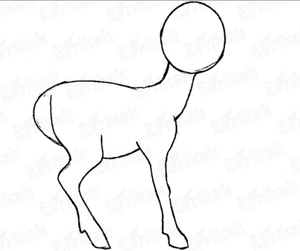 Поэтапное рисование оленя карандашом