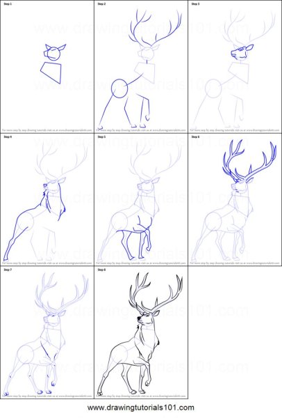 Поэтапное рисование лося