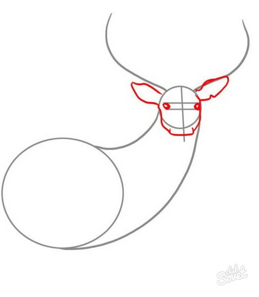Поэтапное рисование Северного оленя