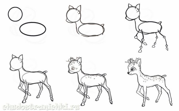 Нарисовать маленького олененка