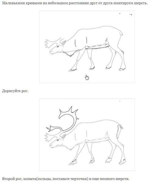 Научиться рисовать олененка