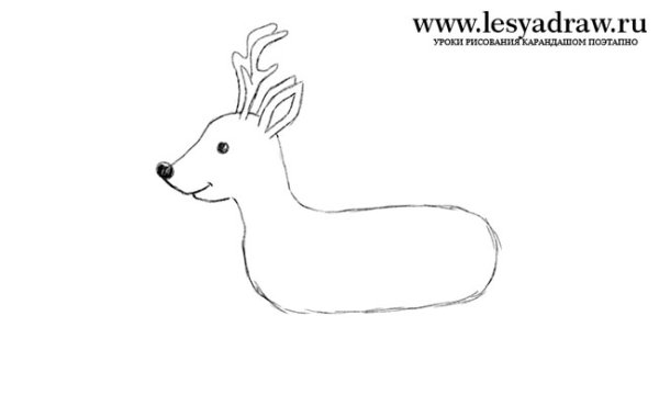 Поэтапное рисование оленя для детей
