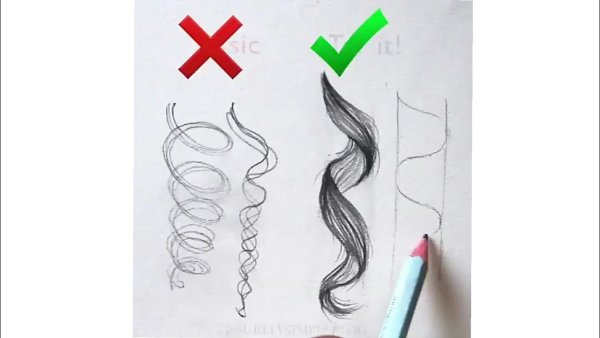 Поэтапное рисование кудрей