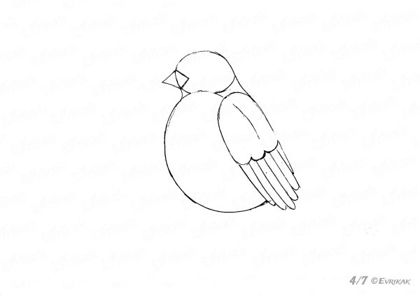 Схема рисования снегиря