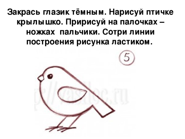 Рисование снегиря поэтапно