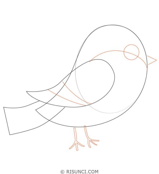 Схема рисования снегиря
