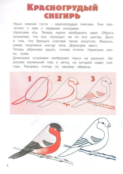 Поэтапное рисование снегиря 2 класс