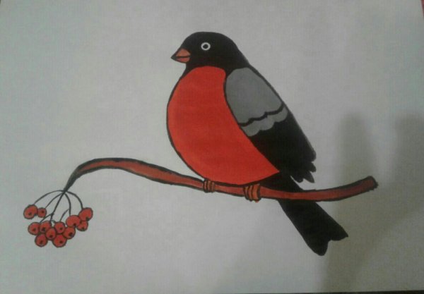 Рисование птицы в средней группе красками