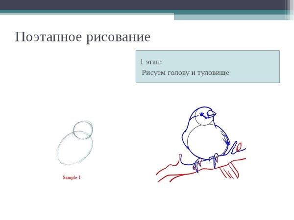 Поэтапное рисование презентация