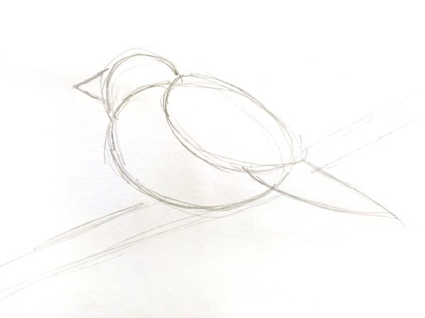 Снегирь пошаговое рисование