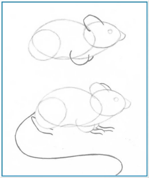 Поэтапное рисование карандашом мышку