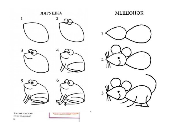 Поэтапное рисование крысы