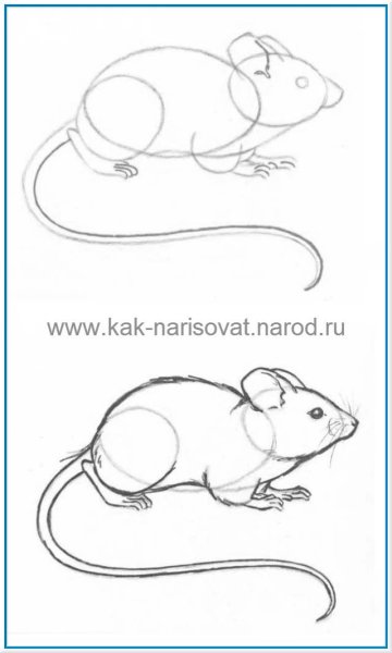 Урок рисования 1 класс