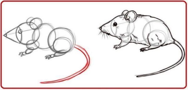 Рисунок карандашом мышка сбоку