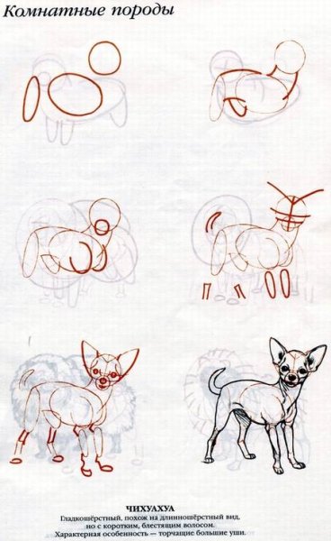 Ли Эймис "рисуем 50 собак"