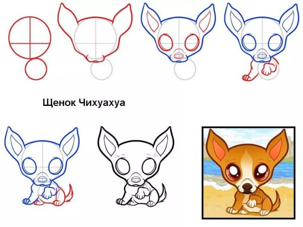 Как нарисовать собаку поэтапно