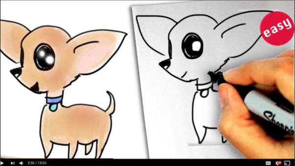 Как научиться рисовать щенка чихуахуа поэтапно