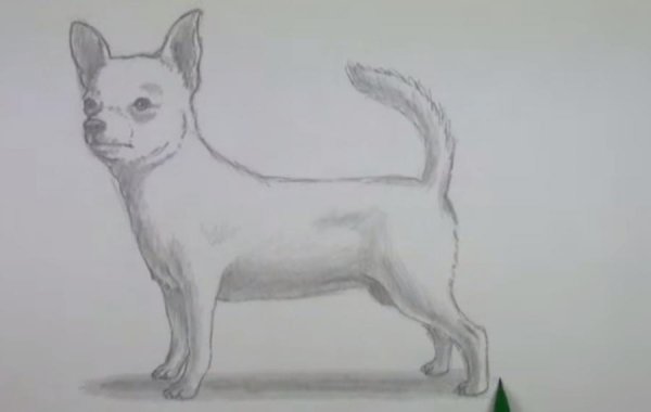 Собачка эскиз для скетчбука