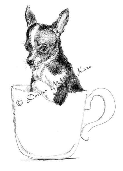 Раскраска той терьер