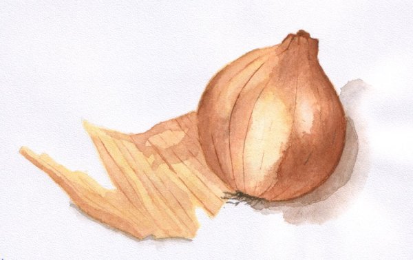 Рисование карандашом лука