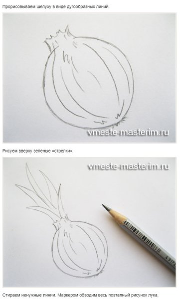 Нарисовать лук поэтапно