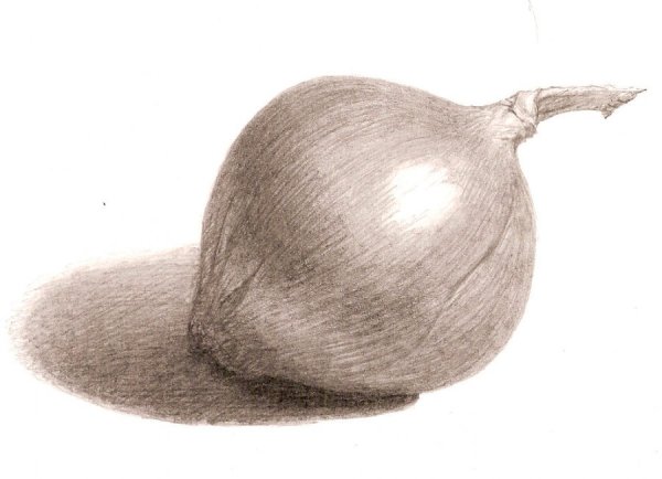 Лук рисунок
