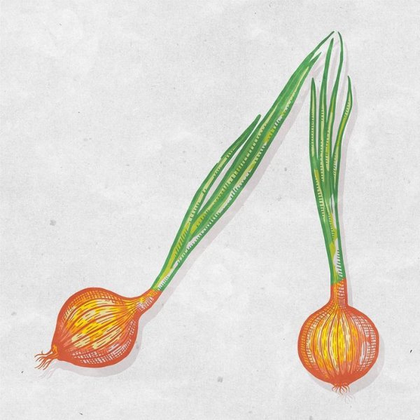 Лук карандашом