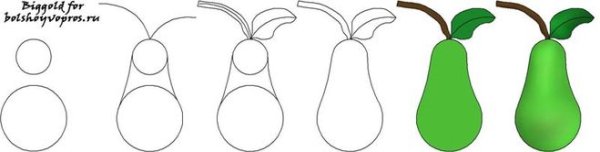 Этапы рисования груши