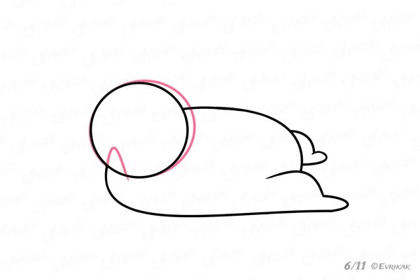 Пухля рисунок поэтапно