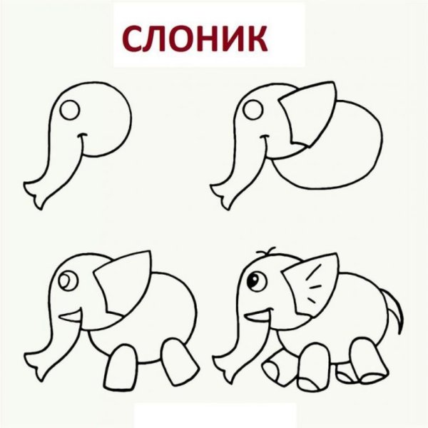 Слон рисунок карандашом для начинающих
