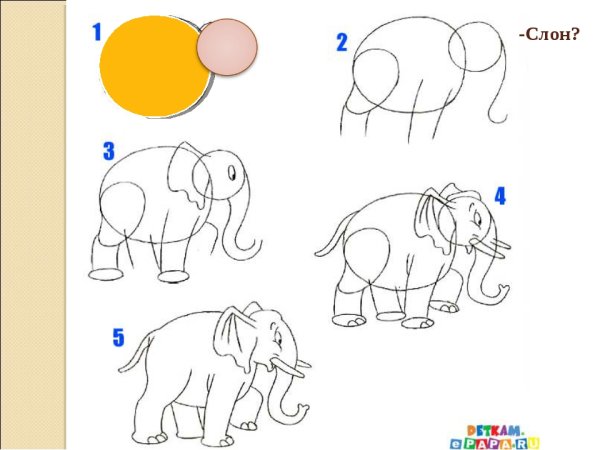 Как нарисовать слона