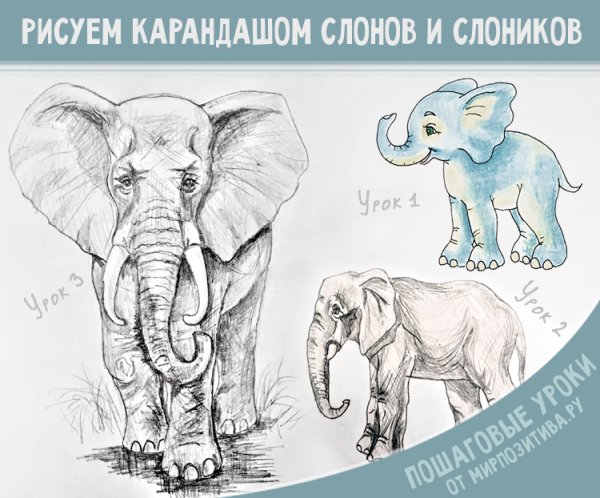 Поэтапное рисование слона для дошкольников