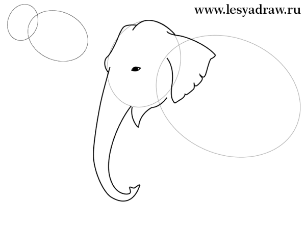 Мамонт поэтапное рисование