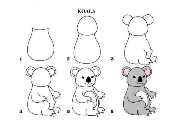 Как нарисовать коалу поэтапно