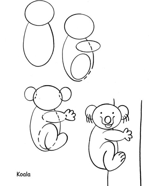 Поэтапное рисование коалы для детей