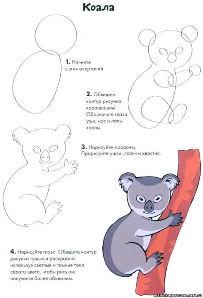 Коала рисунок пошагово