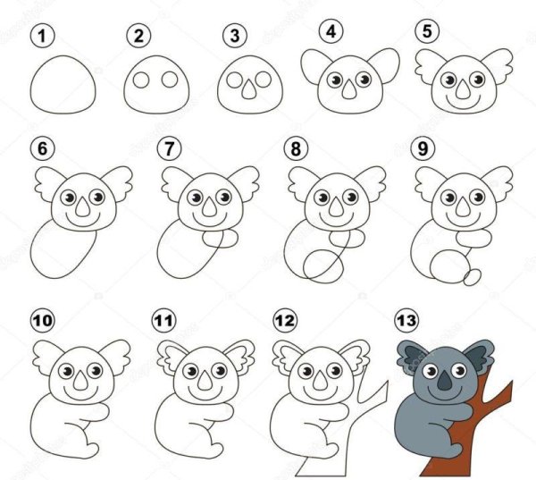 Как нарисовать коалу карандашом поэтапно для детей